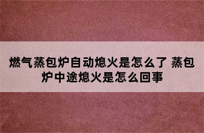 燃气蒸包炉自动熄火是怎么了 蒸包炉中途熄火是怎么回事